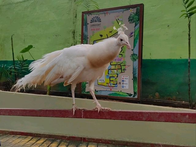 Langkawi Wildlife Park