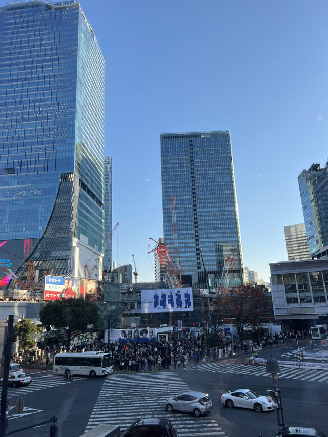 엄마혼자 아이둘과 떠나는 도쿄 4박5일