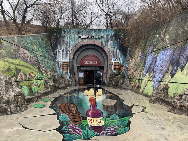 광양 와인동굴에서 즐긴 와인과 문화의 만남 🍇🎶