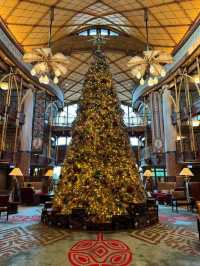 [Hongkong] รีวิวโรงแรม Disney Explorers Lodge