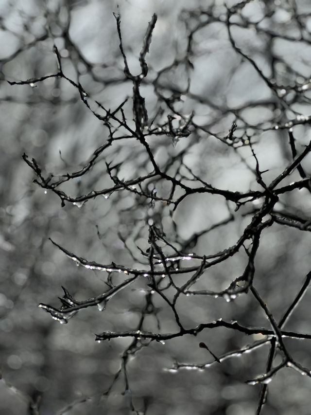 청계산 갔다가 겨울왕국 체험함…☃️🌿