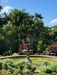 Vaucluse House: A Historic Gem in Sydney’s Eastern Suburbs