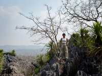 ภูเขาหินปูนคล้ายปะการัง