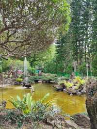 漫步士林官邸公園：歷史與花海的驚艷邂逅 🌸