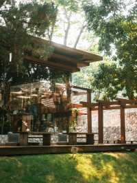 The Baristro AsianStyle เชียงใหม่ สายมัทฉะต้องเลิฟ
