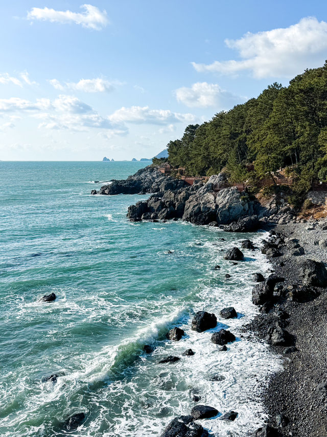 해운대 동백섬 해안 산책길 코스🌊🤍