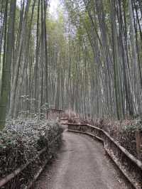 4 Days in Kyoto