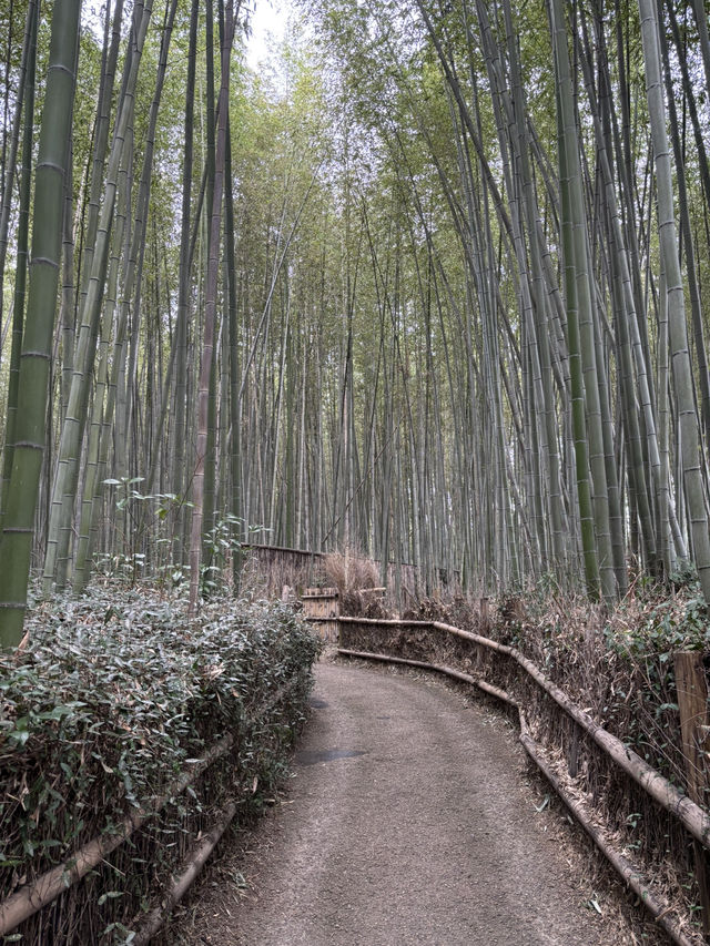 4 Days in Kyoto
