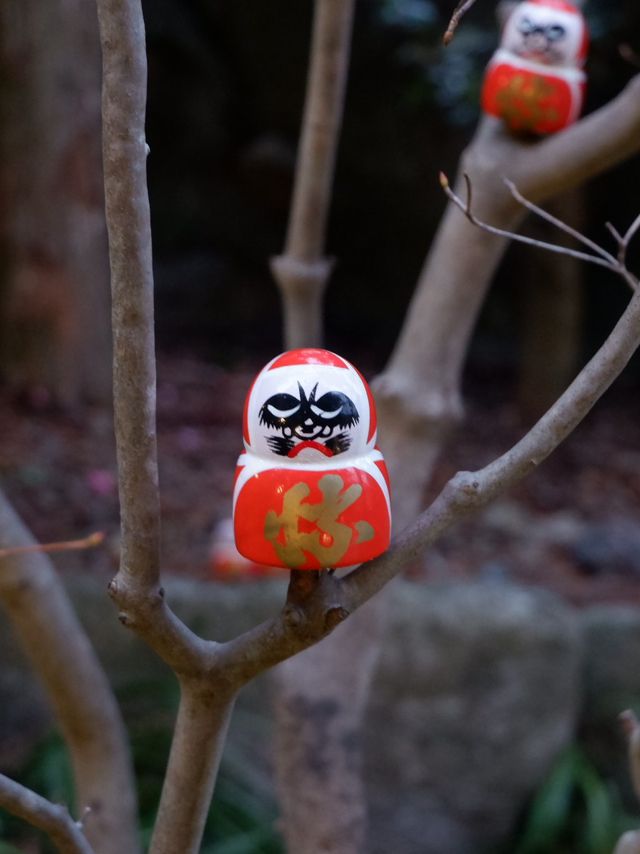 วัดที่มีแต่ดารุมะ(Katsuoji Temple)