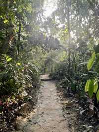 Taman Tugu's Spring Splendor