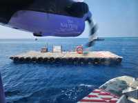 [🇲🇻モルディブ] マレ国際空港からMilaidhoo Maldivesリゾートまでの水上飛行機体験