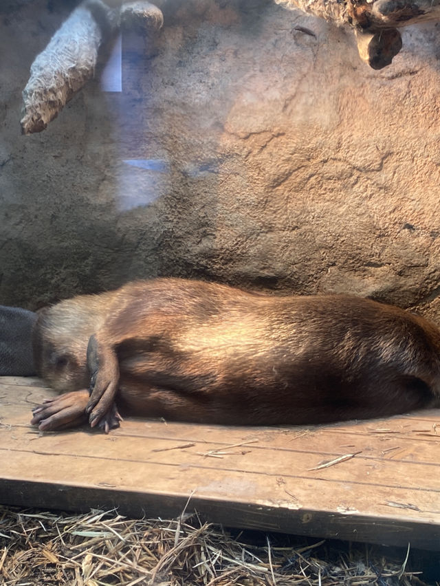 とても楽しい水族館