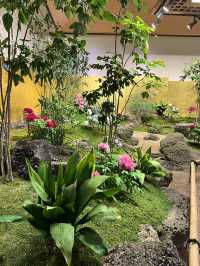 Spring in Full Bloom at Yuushien