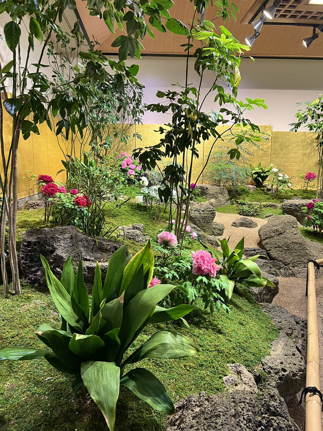 Spring in Full Bloom at Yuushien