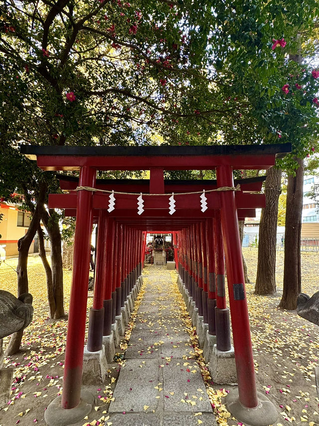 Tokyo Shinjuku – The Neon City That Never Sleeps