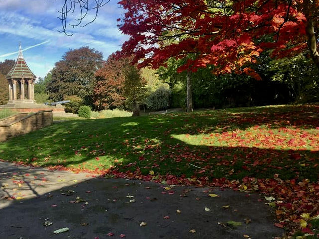 A half day trip at The Arboretum 