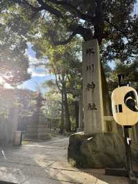 Spring at Akasaka Hikawa Shrine🌸