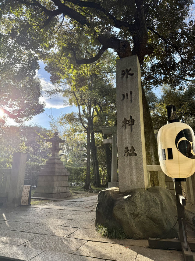 Spring at Akasaka Hikawa Shrine🌸