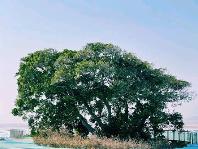 中國廣東省汕頭市著名景點南澳島旅遊攻略，適合打卡拍照📸