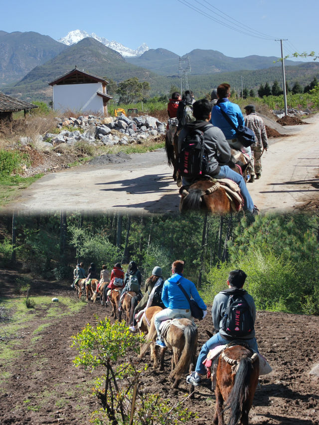 Horse Riding Adventure on the Ancient Tea-Horse Road in Lijiang