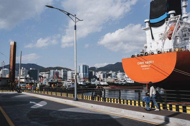 부산의 영도! 