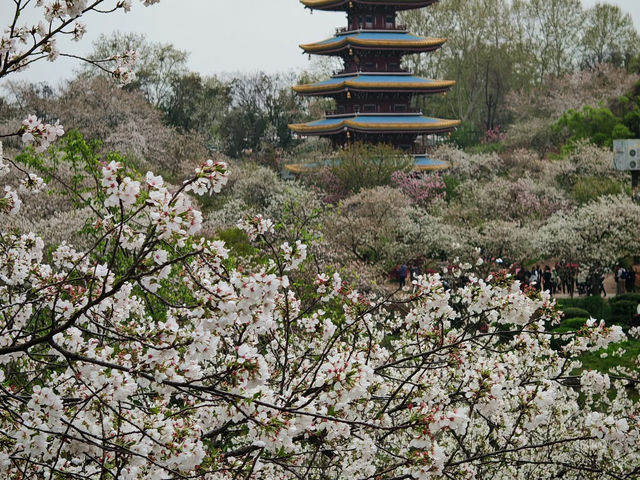 中國四川山城 ～ 重慶