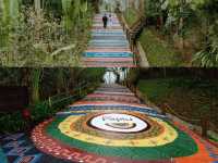 Papiu resort Ha Giang
