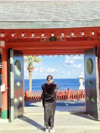 【絶景神社】目の前はすぐ海の開運神社がオススメ！