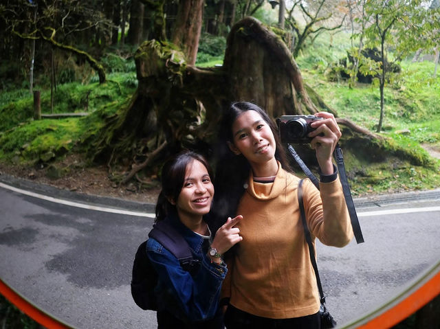 อาลีซาน สายชอบเที่ยวธรรมชาติห้ามพลาด ⛰️