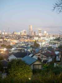 上星川あおぞら公園の景色