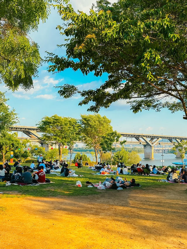 한강뷰 담요 깔고 낮잠 가능 ☀️🧺