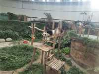 “Zoo Negara — Malaysia’s Wild Heart of Adventure and Conservation”