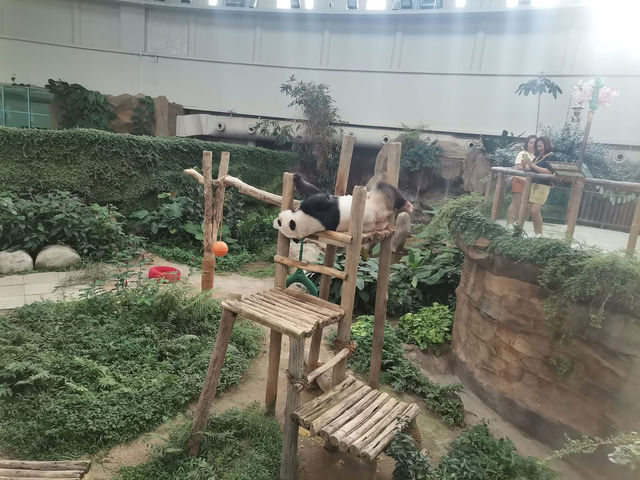 “Zoo Negara — Malaysia’s Wild Heart of Adventure and Conservation”