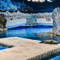 HONG KONG | OCEAN PARK of HONG KONG