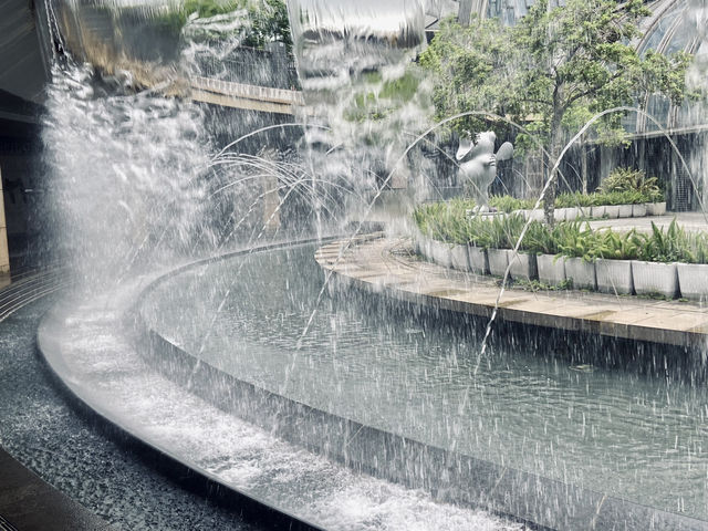 城市裡的浪漫驚喜｜大安森林公園站水舞秀