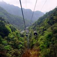Zhangjiajie National Forest Park: A Natural Masterpiece