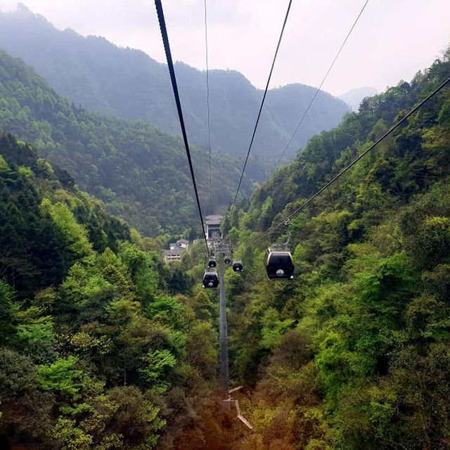 Zhangjiajie National Forest Park: A Natural Masterpiece