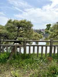 Spring Walk at Himonya Itsukushima-jinja Shrine