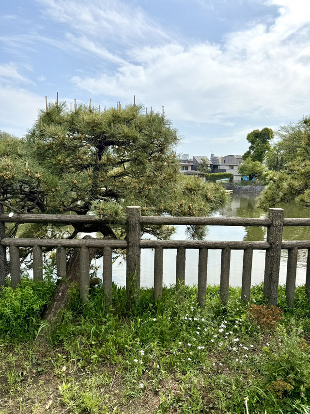Spring Walk at Himonya Itsukushima-jinja Shrine