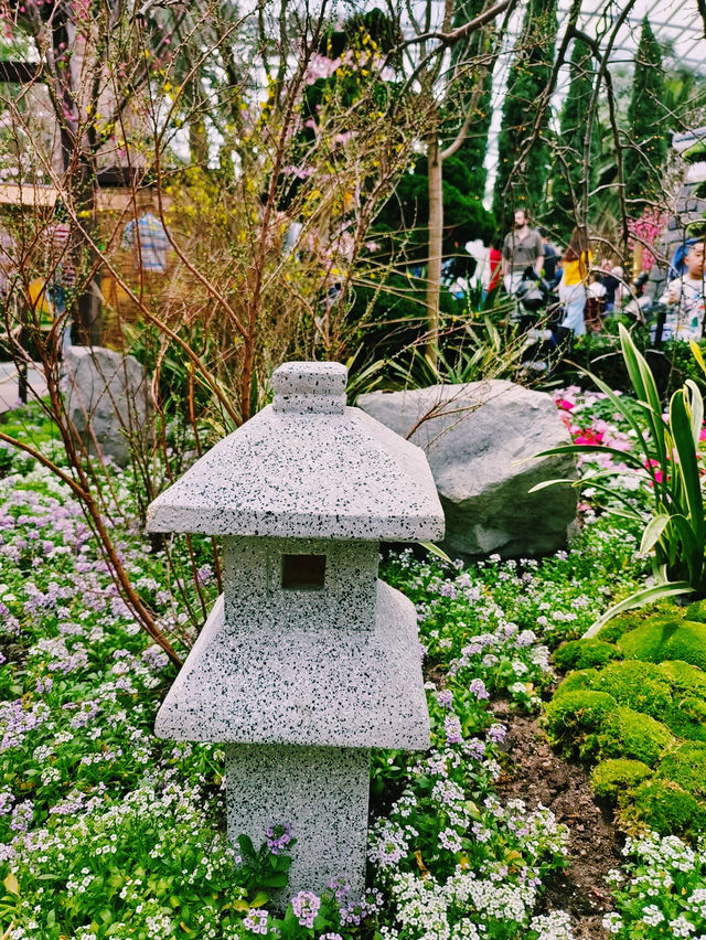 A Blossoming Experience at Gardens by the Bay