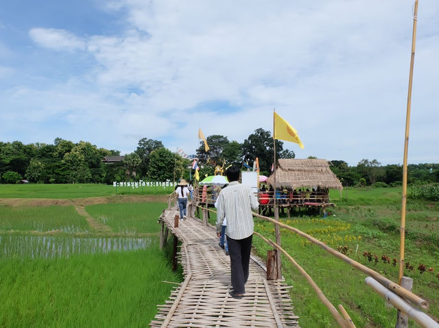 ขัวแตะ สะพานบุญไม้ไผ่วัดพระธาตุสันดอน ลำปาง