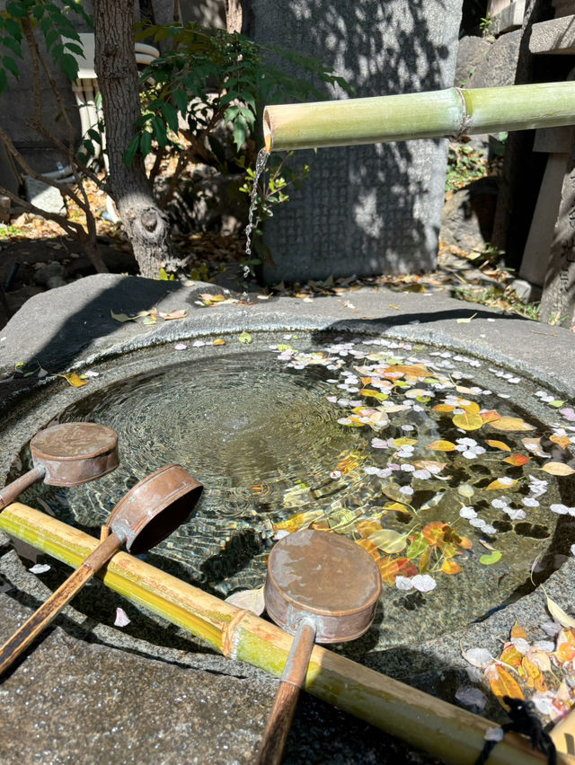 𝐍𝐚𝐦𝐛𝐚 𝐘𝐚𝐬𝐚𝐤𝐚 𝐒𝐡𝐫𝐢𝐧𝐞 ⛩️✨
