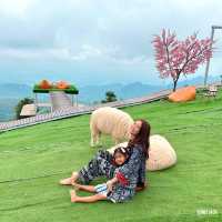 🐑 #ไร่ฟาร์มแกะ ภูทับเบิก☺️📌