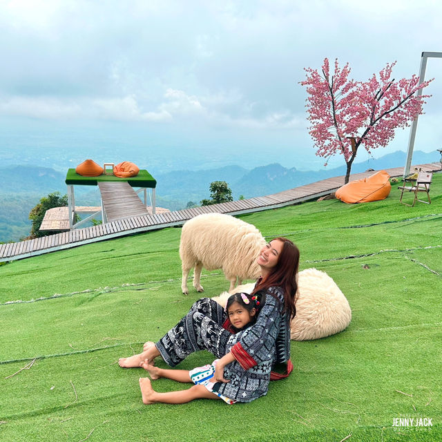 🐑 #ไร่ฟาร์มแกะ ภูทับเบิก☺️📌