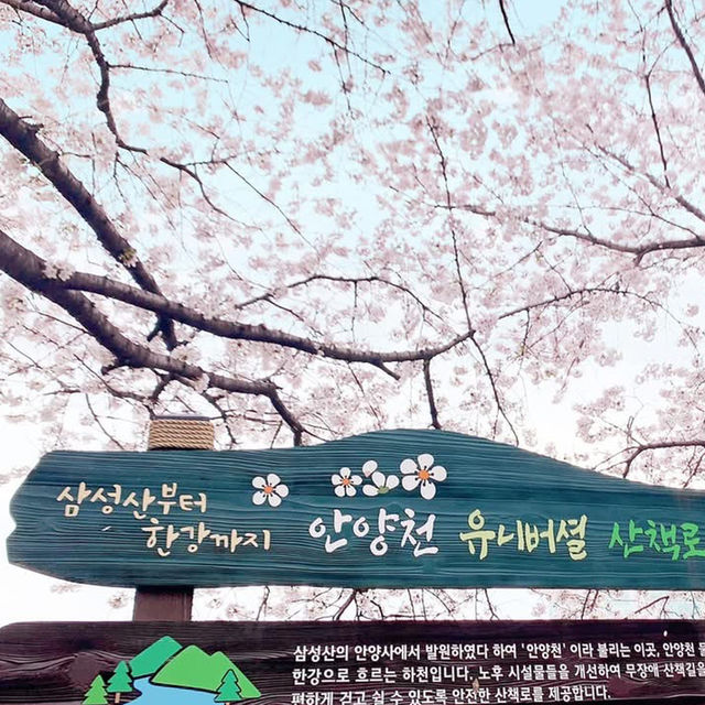 ❤️ 韓國。首爾｜道林川站 도림천역。賞櫻❤️