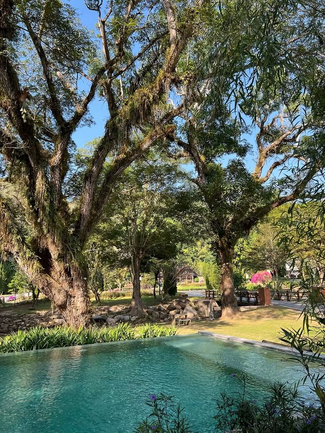 Flora Creek เชียงใหม่