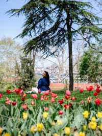 CATCHING FLOWERS IN GULHANE PARK 🇹🇷