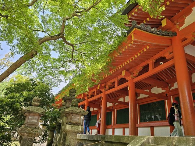 奈良~親親大自然，探訪可愛小鹿和歷史文化遺產的地方。