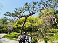 Hike Through The Magic of Hanyangdoseong