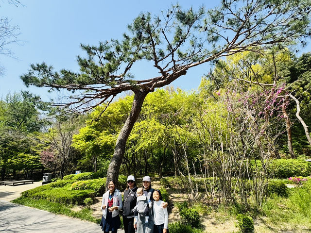Hike Through The Magic of Hanyangdoseong